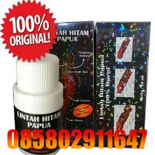 Jual Minyak Lintah Papua Asli Di Medan 085802911647 COD